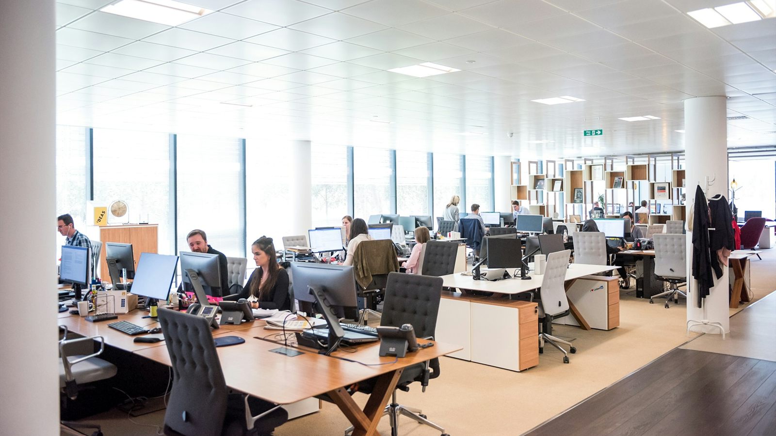 An insurance operations floor at work